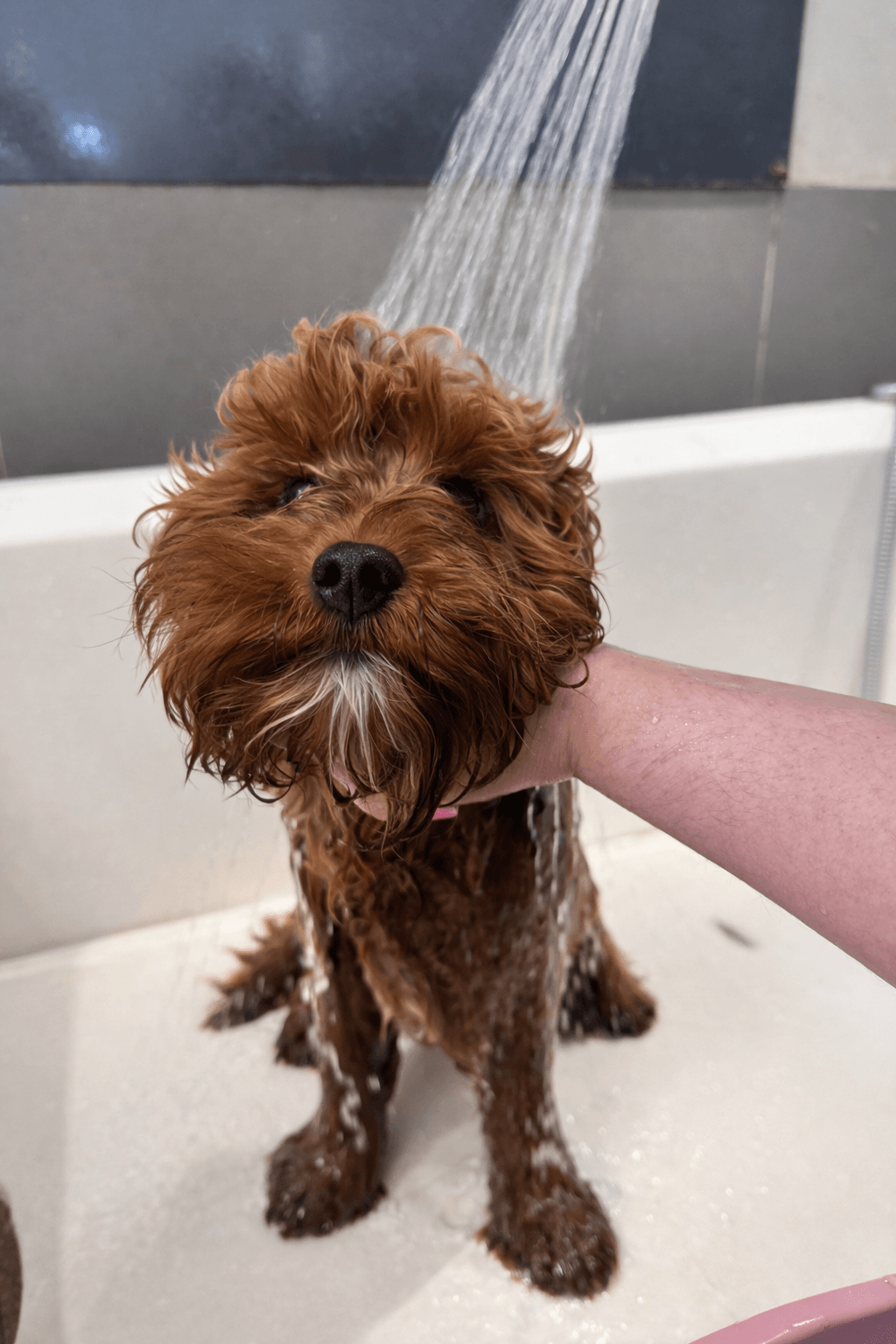 Bath Time